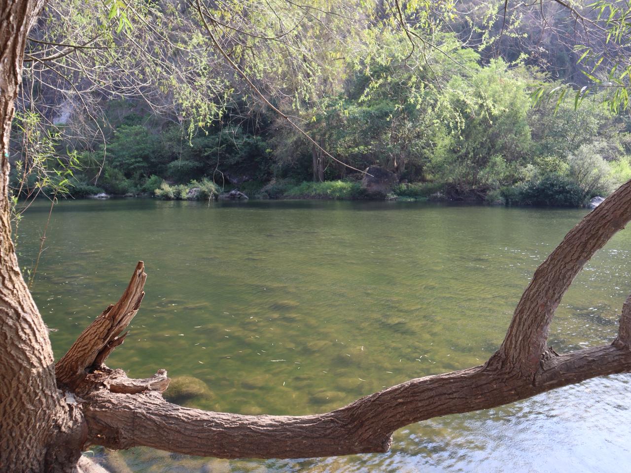 Río en Carrillo Puerto