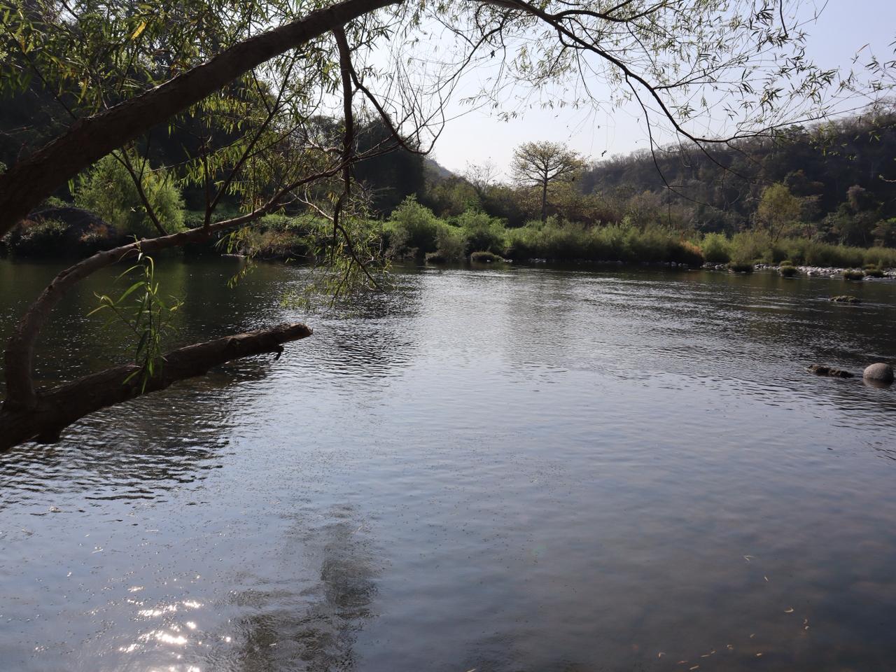 Paisaje fluvial del municipio